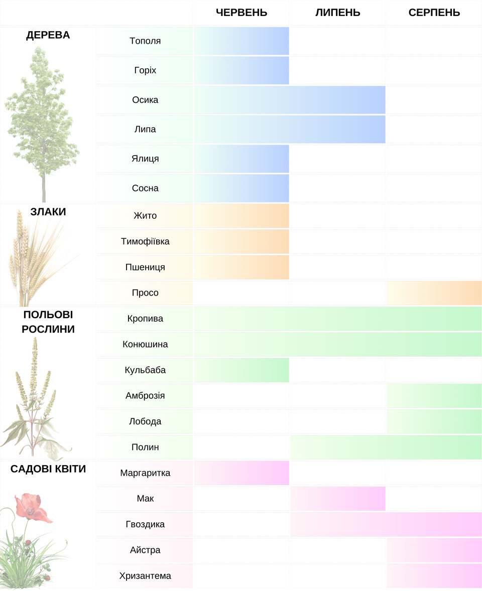 Календар цвітіння для алергіків в Україні влітку 2024 року