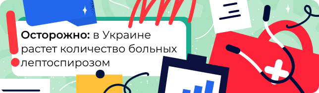 Осторожно: в Украине растет количество больных лептоспирозом