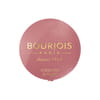 Румяна для лица BOURJOIS (Буржуа) Blush тон 16 2,5 г